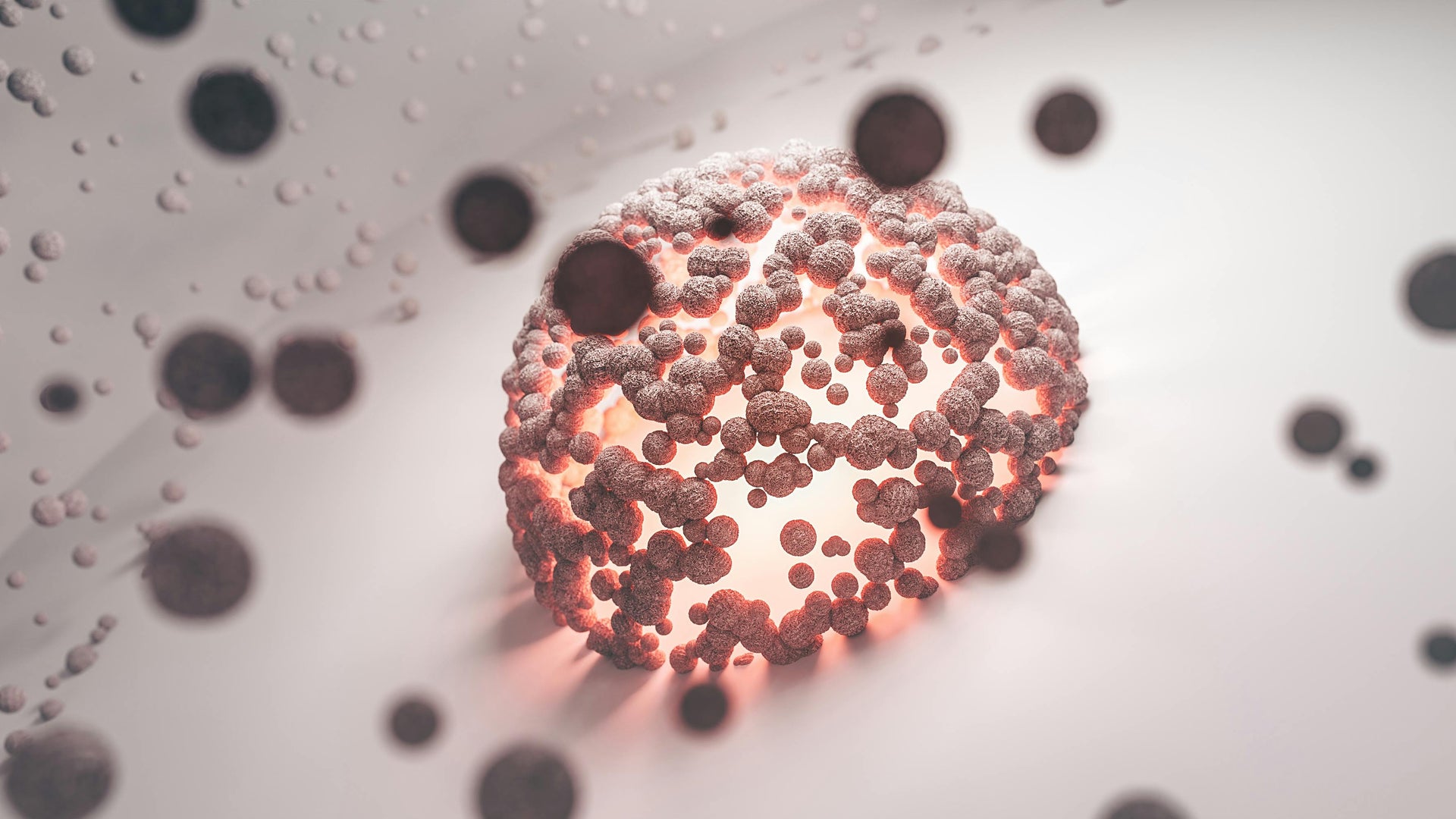 l carnitine b12 injection Injectable L-Carnitine: What It Is, How It Works, and Who Should Use It