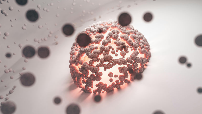 Peptide Deep Dives:“GHK-Cu vs AHK-Cu: Copper Peptides That Rebuild Skin”