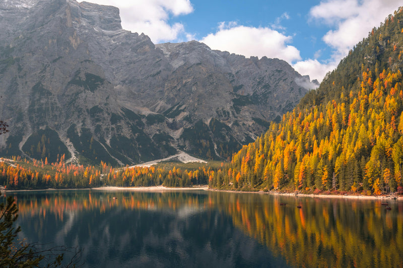 Blog Post 2: Fresh From the Lab — Fall Barrier Season